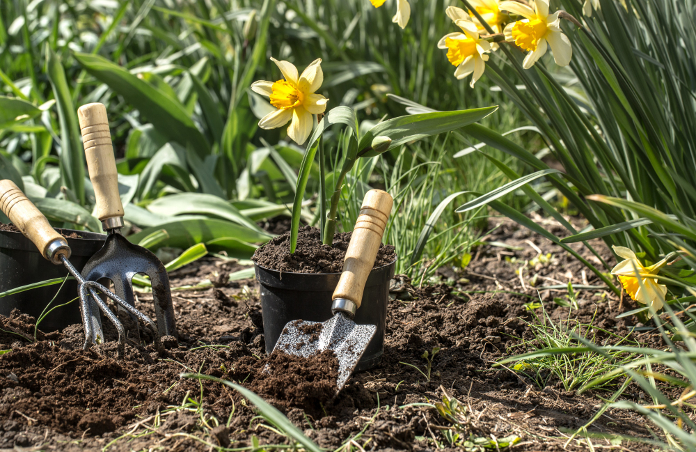 gardening-img